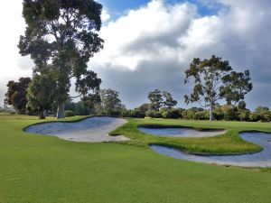 Kingston Heath 1st Tree